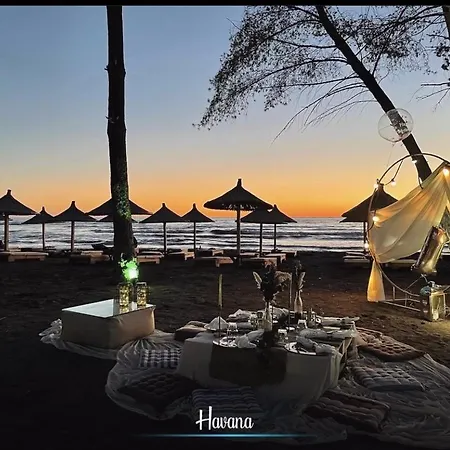 Havana House * Sakes