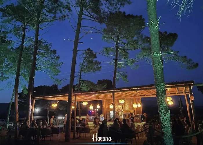 Ferienhaus Havana House *