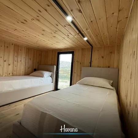 Havana House * Sakes