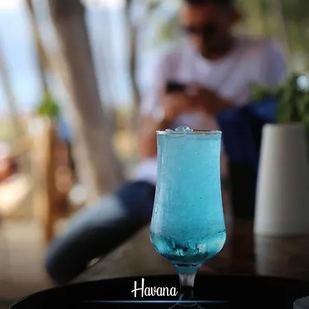 Havana House Semesterbostad